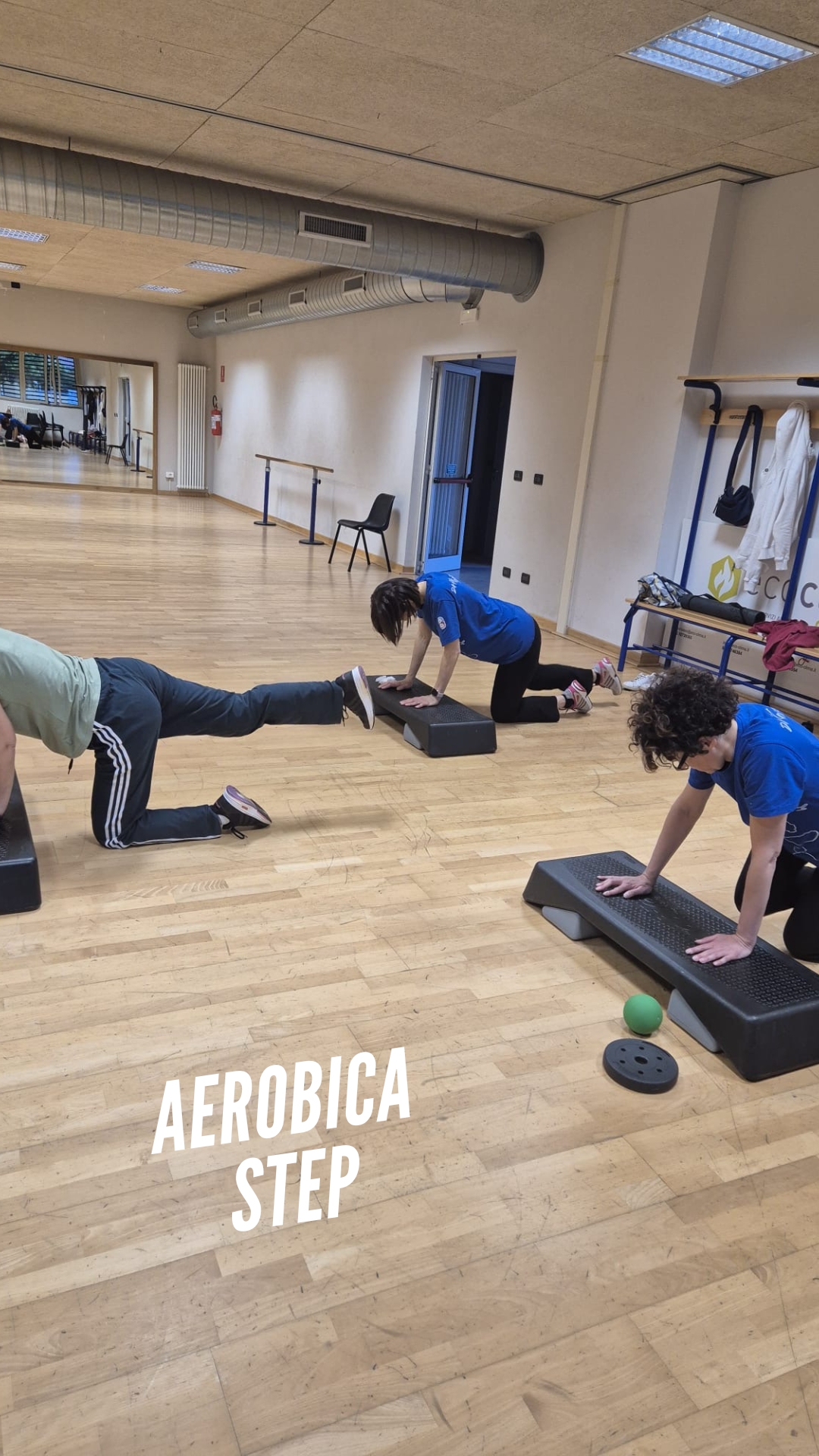 Aerobica step